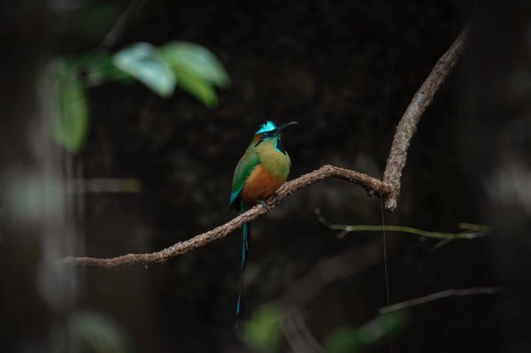 les exercices de renforcement musculaire recommandés pendant la grossesse